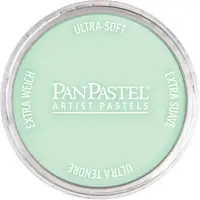 PanPastel Pastelnap Permanent Green Tint 640.8