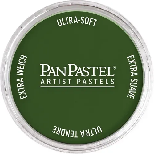 PanPastel PanPastel Pastelnap Chromium Oxide Green 660.5 PanPastel PanPastel Pastelnap Chromium Oxide Green 660.5