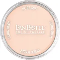 PanPastel Pastelnap Red Iron Oxide Tint 380.8