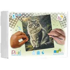 PixelHobby Pixelhobby Geschenkverpakking Kat Main Coon