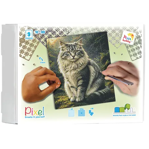 PixelHobby Pixelhobby Geschenkverpakking Kat Main Coon