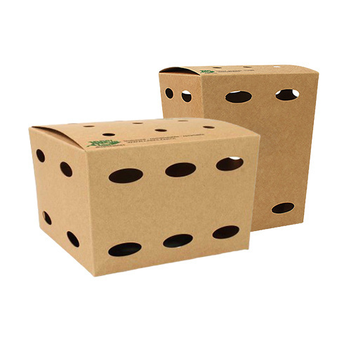 50st. Kartonnen Frietboxen
