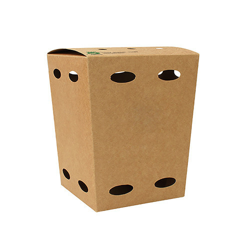 50st. Kartonnen Frietboxen