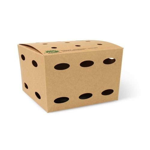50st. Kartonnen Frietboxen