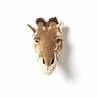 Wild & Soft Dierenkop Trophy Giraf Ruby | Wild & Soft Wild & Soft Dierenkop Trophy Giraf Ruby | Wild & Soft