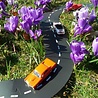 WaytoPlay Circuit auto (16 pcs) | Way to Play WaytoPlay Circuit auto (16 pcs) | Way to Play