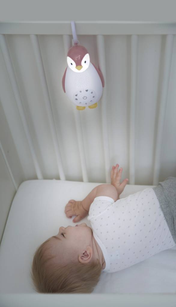Bluetooth Muziek Box Pinguïn Zoë Roze | Zazu
