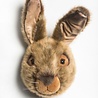 Wild & Soft Dierenkop Trophy Haas Lewis | Wild & Soft Wild & Soft Dierenkop Trophy Haas Lewis | Wild & Soft