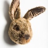 Wild & Soft Dierenkop Trophy Haas Lewis | Wild & Soft Wild & Soft Dierenkop Trophy Haas Lewis | Wild & Soft