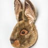 Wild & Soft Dierenkop Trophy Haas Lewis | Wild & Soft Wild & Soft Dierenkop Trophy Haas Lewis | Wild & Soft