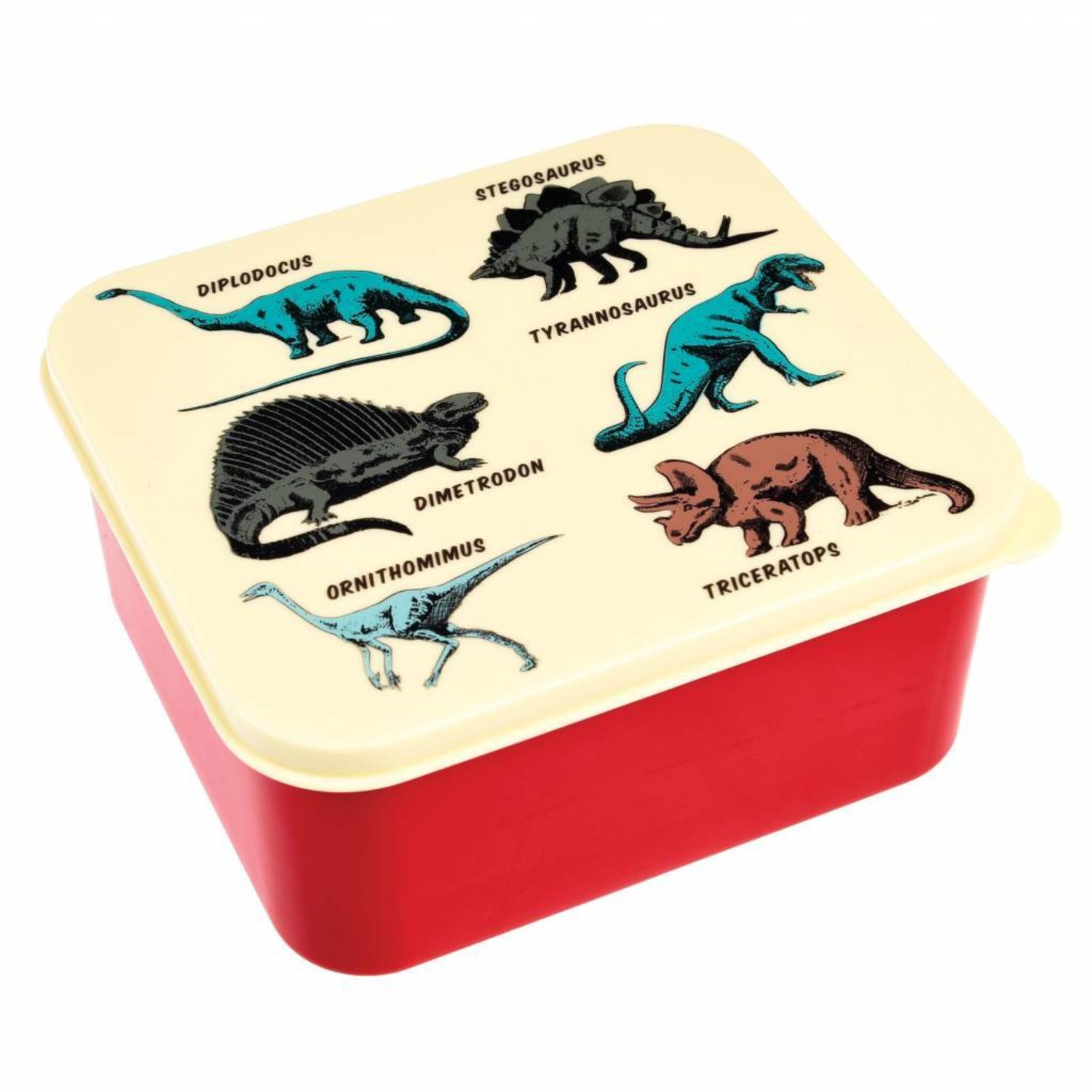 Ik heb een Engelse les onpeilbaar Wees tevreden Brooddoos / Lunchbox - Prehistoric Land | Rex - Kids with Flair