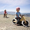 Wishbone Bike Wishbone bike 2-in-1 Bike original Wishbone Bike Wishbone bike 2-in-1 Bike original