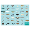 Mudpuppy Zoek & Vind Puzzel Artic Life – 64st | Mudpuppy Mudpuppy Zoek & Vind Puzzel Artic Life – 64st | Mudpuppy