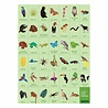 Mudpuppy Zoek & Vind Puzzel Regenwoud – 64st | Mudpuppy Mudpuppy Zoek & Vind Puzzel Regenwoud – 64st | Mudpuppy