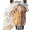 Madd Capp Paard puzzel - 300st | Madd Capp Madd Capp Paard puzzel - 300st | Madd Capp
