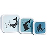 Petit Monkey Lunchbox Sea Animals - Set van 3 | Petit Monkey Petit Monkey Lunchbox Sea Animals - Set van 3 | Petit Monkey