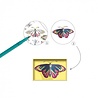 Djeco Kleurset Insectenkast - Rariteitenkabinet Djeco Kleurset Insectenkast - Rariteitenkabinet