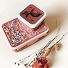 Petit Monkey Lunchbox Popsicles - Desert rose Petit Monkey Lunchbox Popsicles - Desert rose