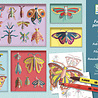 Djeco Kleurset Insectenkast - Rariteitenkabinet Djeco Kleurset Insectenkast - Rariteitenkabinet