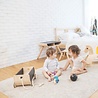 Plan Toys Chariot en bois à tirer | Plan Toys Plan Toys Chariot en bois à tirer | Plan Toys