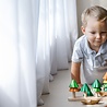 Plan Toys Jeu de petits sapins en bois pour de compter & trier | Plan Toys Plan Toys Jeu de petits sapins en bois pour de compter & trier | Plan Toys