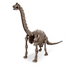 4M 4M KidzLabs Graaf je Dinosaurus op - Brachiosaurus 4M 4M KidzLabs Graaf je Dinosaurus op - Brachiosaurus