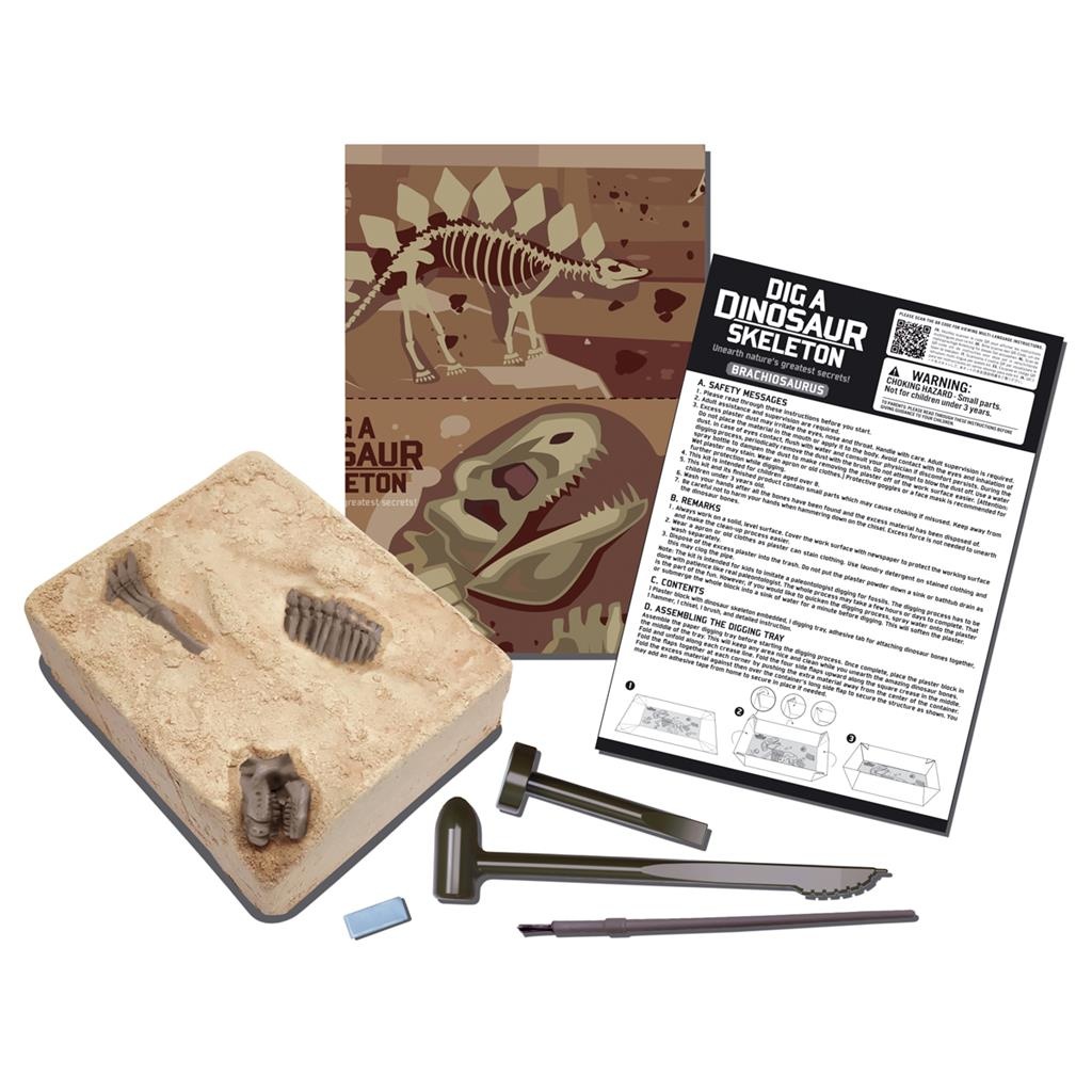 4M KidzLabs Graaf je Dinosaurus op - Brachiosaurus