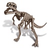 4M 4M KidzLabs Graaf je Dinosaurus op - TRex 4M 4M KidzLabs Graaf je Dinosaurus op - TRex