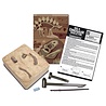 4M 4M KidzLabs Graaf je Dinosaurus op - TRex 4M 4M KidzLabs Graaf je Dinosaurus op - TRex