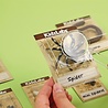 4M 4M KidzLabs Opgraafkit Insecten 'Creepy Crawly' 4M 4M KidzLabs Opgraafkit Insecten 'Creepy Crawly'