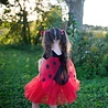 Great Pretenders Great Pretenders Lieveheersbeestje verkleedset 4-6 jaar Great Pretenders Great Pretenders Lieveheersbeestje verkleedset 4-6 jaar
