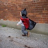 Great Pretenders Cape réversible Batman & Spiderman | Great Pretenders - 1-3 ans Great Pretenders Cape réversible Batman & Spiderman | Great Pretenders - 1-3 ans