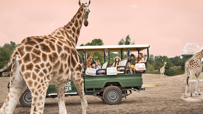 De nieuwe collectie van Jeune Premier 2022 neemt je mee op Safari!
