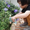 Plan Toys Lapin en bois sur roues | Plan toys Plan Toys Lapin en bois sur roues | Plan toys