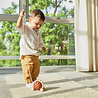 Plan Toys Hérisson marron en bois à tirer | Plan Toys Plan Toys Hérisson marron en bois à tirer | Plan Toys