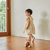 Plan Toys Hérisson marron en bois à tirer | Plan Toys Plan Toys Hérisson marron en bois à tirer | Plan Toys