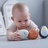 Plan Toys Houten Tuimelaar Walrus | Plan Toys Plan Toys Houten Tuimelaar Walrus | Plan Toys