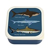 Rex Inter. Rex London Snackdoosjes Shark - Set van 3 Rex Inter. Rex London Snackdoosjes Shark - Set van 3