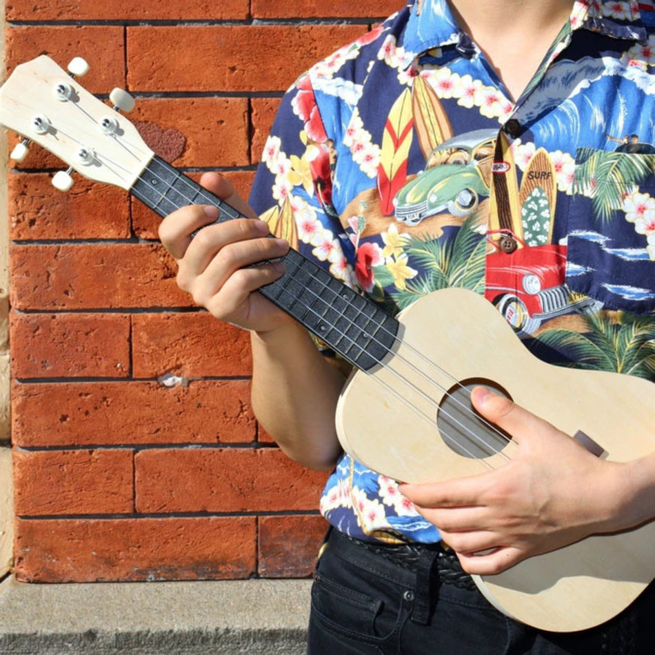 make your own ukelele