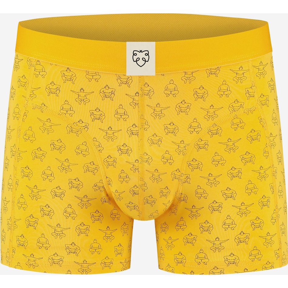 TINUS boxer brief