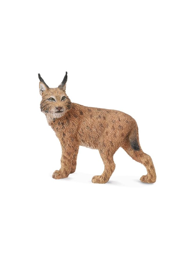 COLLECTA - Wilde Dieren - Lynx (L)
