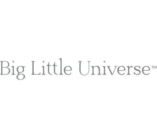 Big Little Universe