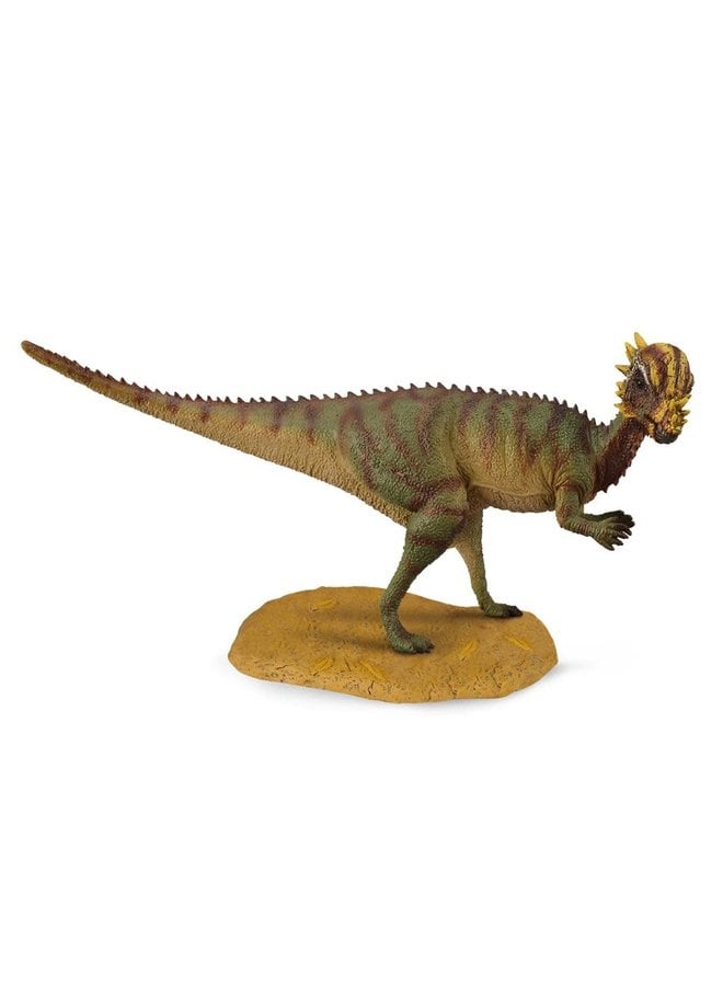 COLLECTA - Dinosaurus - Pachycephalosaurus