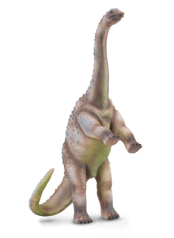 COLLECTA - Dinosaurus -  Rhoetosaur (L)