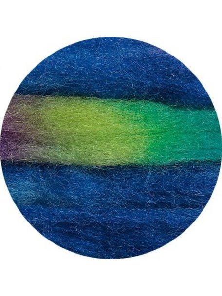 Space Tops Roving multicolour 11