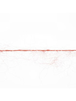 Lang Yarns Mohair Luxe - 0029