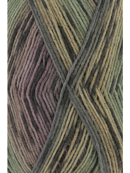 Lang Yarns Super Soxx Color - Jungle Soxx