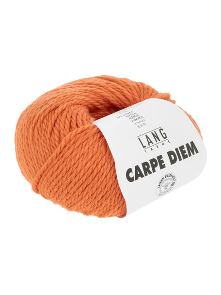 Lang Yarns Carpe Diem - 0259