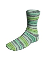 Lang Yarns Super Soxx Color - Ice Cream Soxx