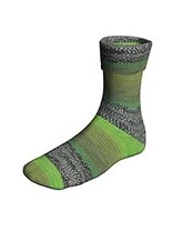 Lang Yarns Super Soxx Color 6 Ply - Train Soxx